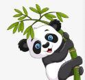 WWW,904se·COM网站APPAPP应用